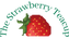 The Strawberry Teacup - Home